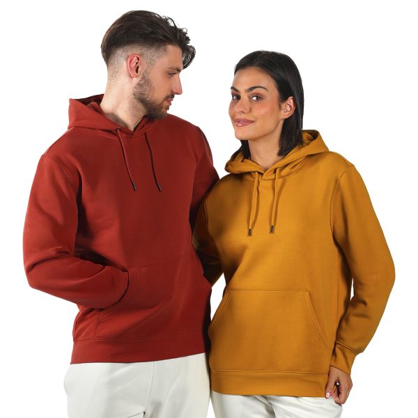 Dukserice - ABSOLUT HOODY 350